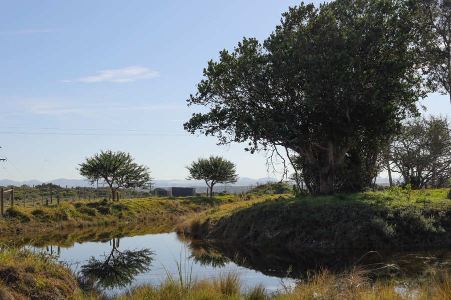 0 Bedroom Property for Sale in Kromme River Estate Eastern Cape